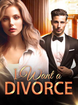 I Want a Divorce (Abigail and Sean) Novel Full Episode